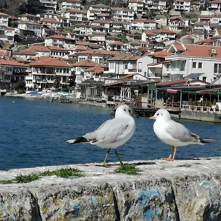 Gorgon's One Apartment Ohrid
